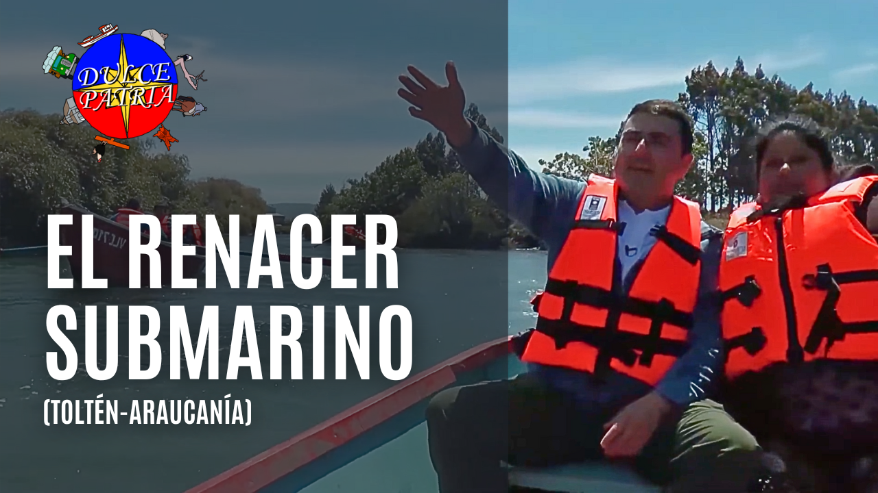 El Renacer submarino, Toltén. Araucanía